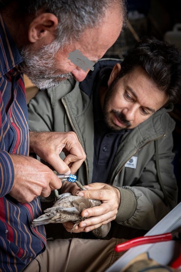 A challenging rescue mission that will significantly reinforce the small remaining popula